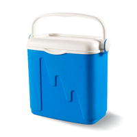 Kühltasche