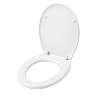Traditioneller Toilettensitz