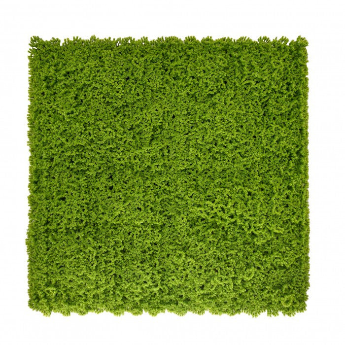 Műnövény falpanel, 50 × 50 cm-es moha zöldfal - Homelux, 5905610253776 Fő kép