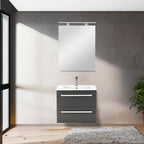 Vario029 - Vario029_altpic_1.jpg